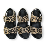 Gala: Leopard Two Bar Back Strap Sandals