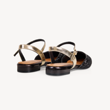 Loulou: Black & Gold Glitter Pointed Flats