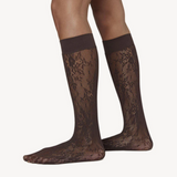 Rosa Lace Floral Knee-High Tights: Dark Brown
